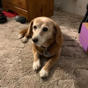 Meet your Posher, Becky